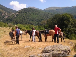 Horse riding gift voucher