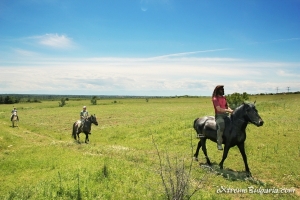 Horse riding gift voucher