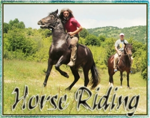Horse riding gift voucher