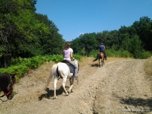 Horse riding gift voucher