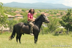 Horse riding gift voucher