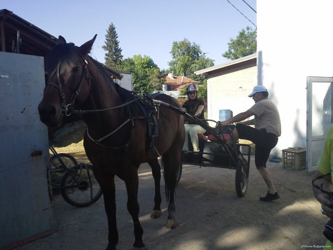 Horse riding