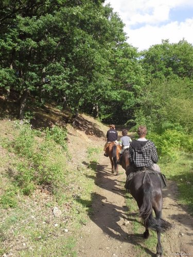 Horse riding