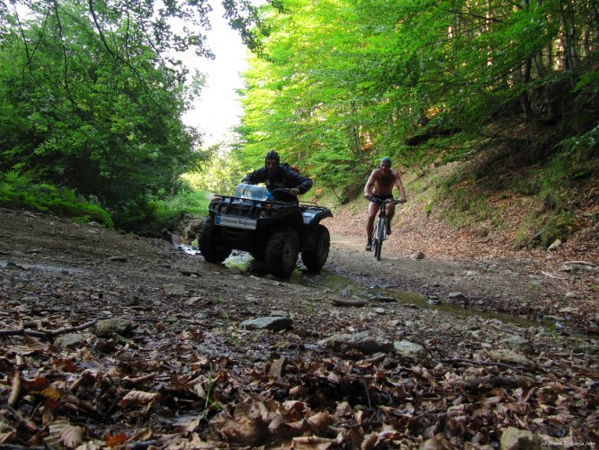 Mountain bike