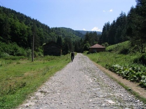 mountain-bike-006