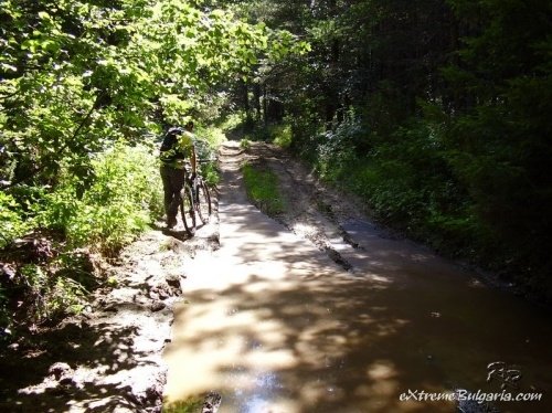 Mountain bike